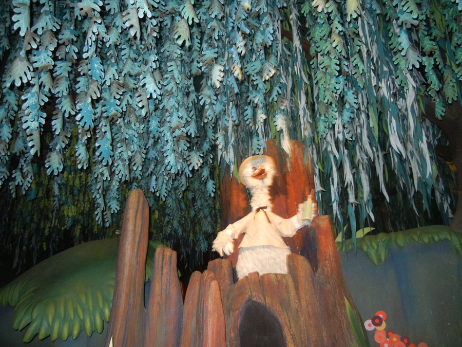 Disneyland Splash Mountain Ride Pictures